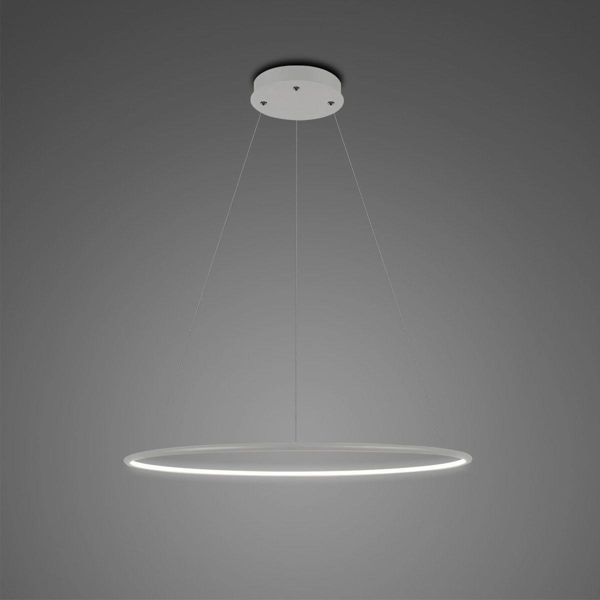 Ledowe Okręgi No.1 Pendant Lamp 40cm 4k Silver Dali