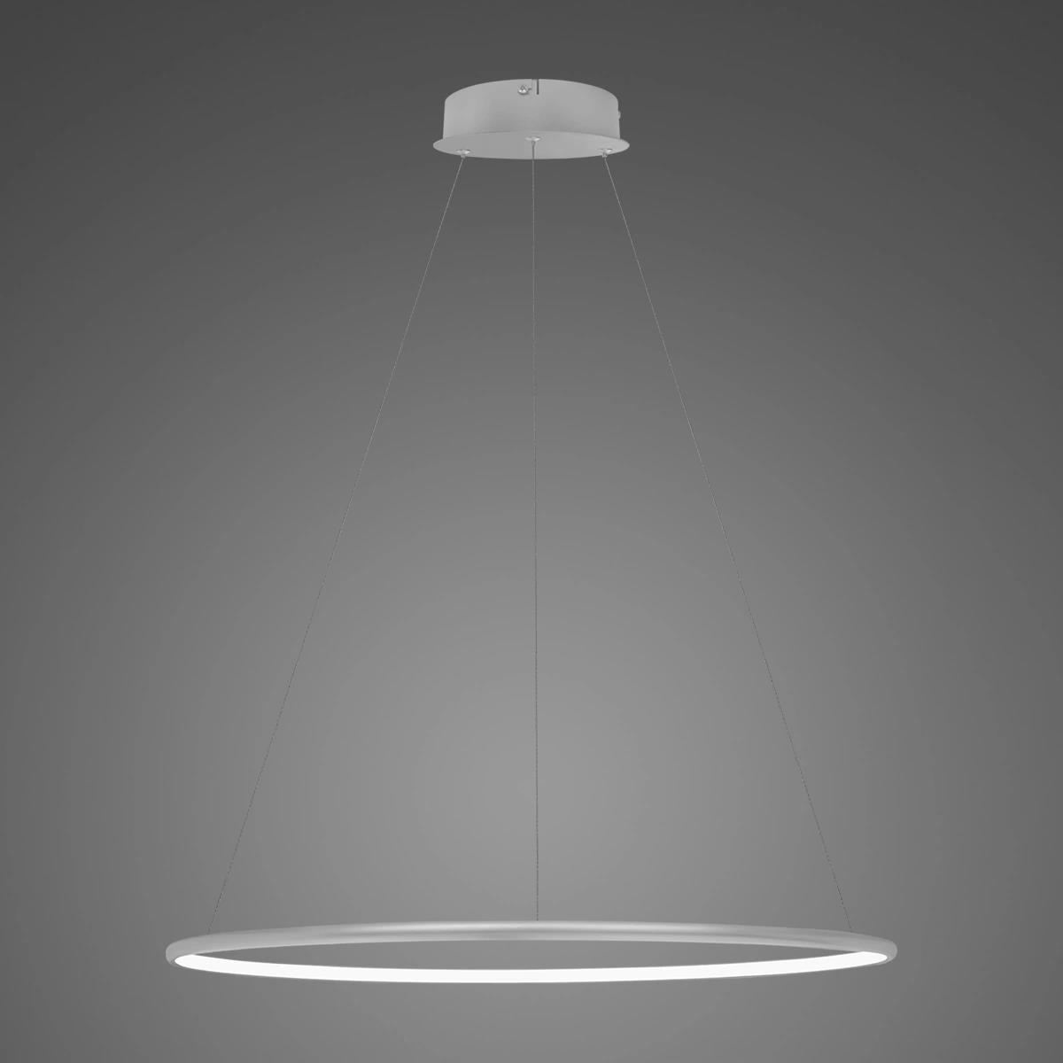 LED-Hängeleuchte Ledowe Okręgi No.1 60 4k silber Dali – Gesamtansicht