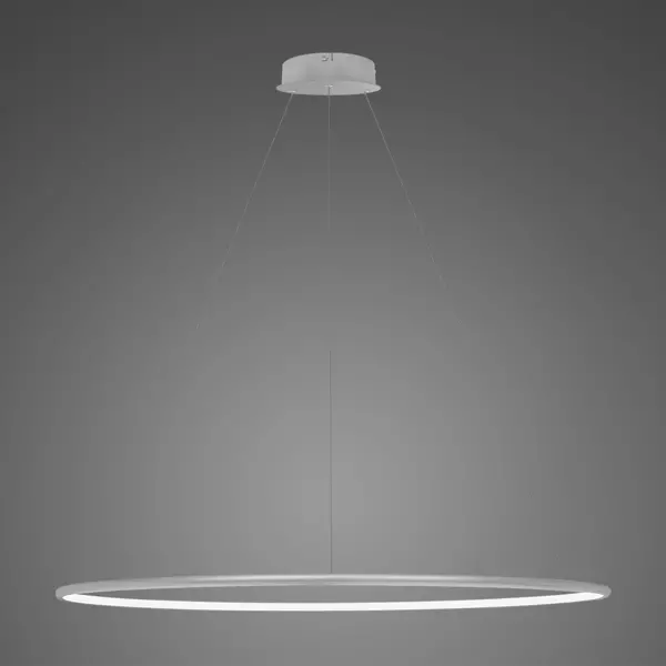 Lampa wisząca Ledowe Okręgi No.1 120cm 3k srebrna ściemnialna 